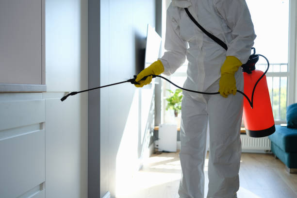 Best Asbestos and Lead Testing During Mold Inspection  in Penn Valley, CA