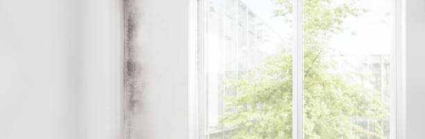 Best Indoor Air Quality Assessment  in Penn Valley, CA